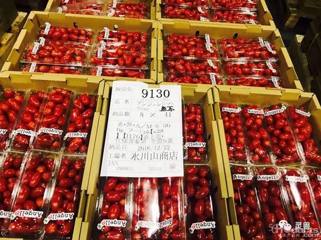 高效+专业+精细 日本零售企业的冷链物流都运用了哪些先进技术？