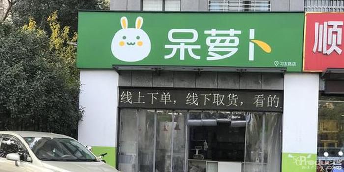 呆罗卜又回来了