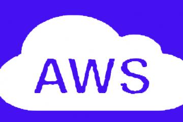 “以退为进”战略下，张文翊带领的AWS如何攻占中国“云”市场?
