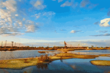 大庆从“一油独大”到“多元并进”