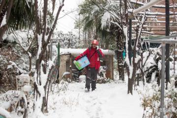 京东物流：春节期间对快递类产品收取每单不低于8元资源调节费