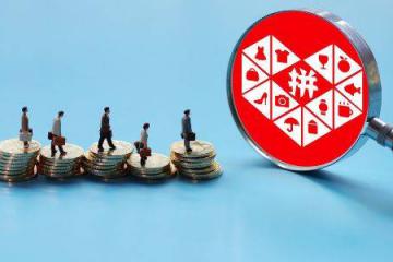 拼多多2019年Q4财报：年活跃买家数达5.852亿，一年净增1.67亿分类：