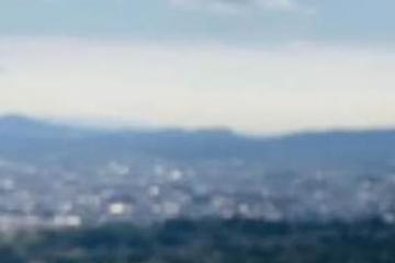 出发吧，永恒力叉车家族！