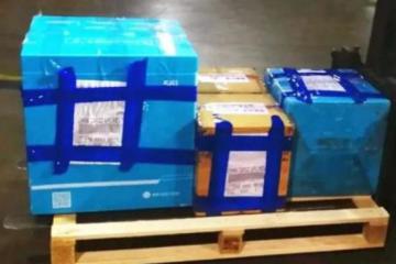 中集医药冷链产品助力援意物资跨洋送达 | 中集在行动