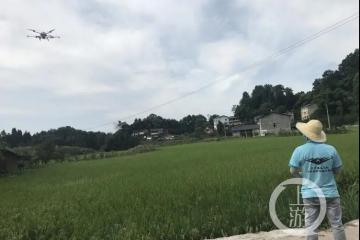 22岁植保飞手：每天田野奔跑，驾驶无人机保护农民的梦
