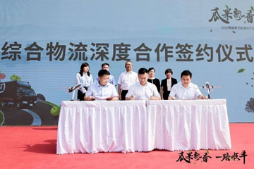 多渠道开拓农产品产销对接，顺丰速运助力安徽萧县农产品品牌“走出去”