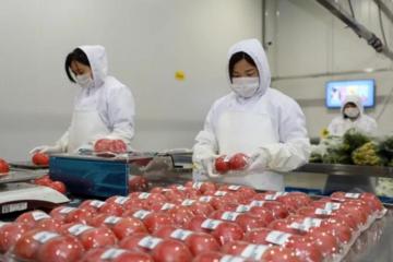 苏宁物流重磅推出“苏鲜达”，拉升冷链物流新标准