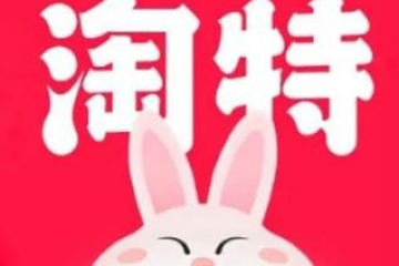 先下手为强！为了微信支付，淘特这回真急了！