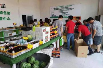 【政策】涉及共配、冷链等方面，农村电商快递迎红利
