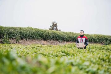 我国快递网点基本实现乡镇全覆盖