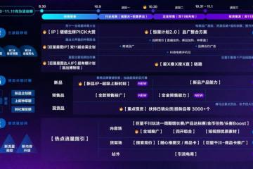 鏖战双11 必看巨量引擎双11作战全景图
