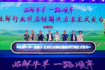 十载深耕牛羊肉寄递，顺丰助力内蒙古农牧业发展跑出加速度