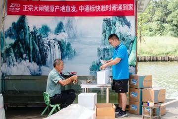 与顺丰正面对决？中通标快全力“抢食”大闸蟹