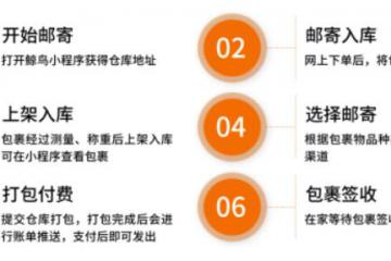 致力于全球华人寄件服务，鲸鸟集运的硬核实力