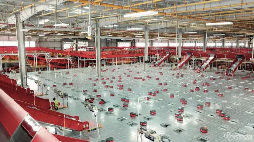 1549950575954229.jpg 640.webp (27).jpg